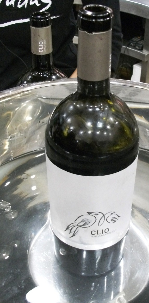 90_aniversario_bodegas_santa_cecilia_clio_2009